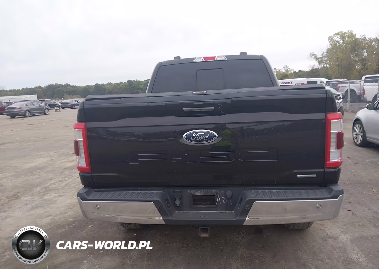 2021 Ford F-150 Lariat VIN:1FTFW1E87MFA03011 - 16