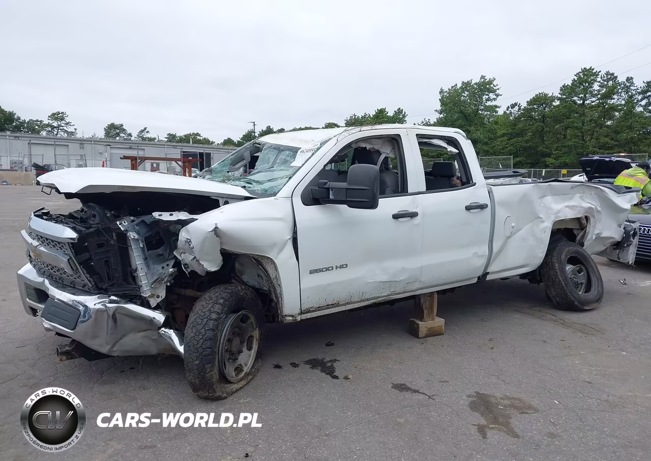 2019 Chevrolet Silverado 2500Hd Wt VIN:2GC2KREG9K1170474 - 6