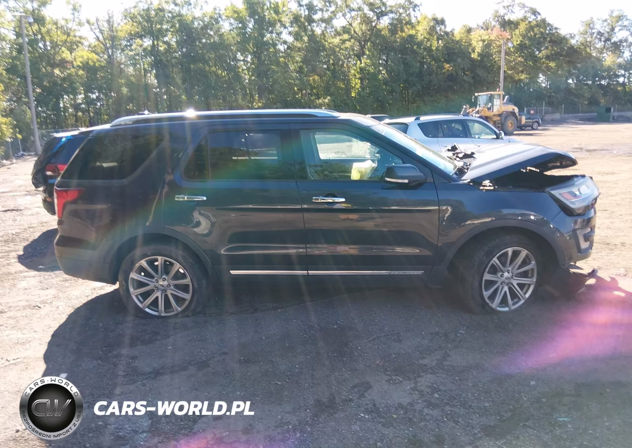 2017 Ford Explorer Limited VIN:1FM5K8F80HGA66140 - 13