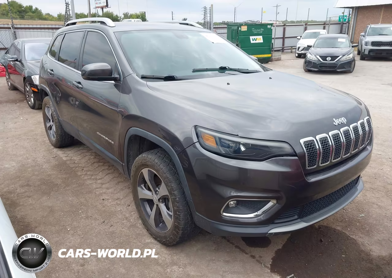 2019 Jeep Cherokee Limited 4X4 VIN:1C4PJMDN8KD167050 - 1