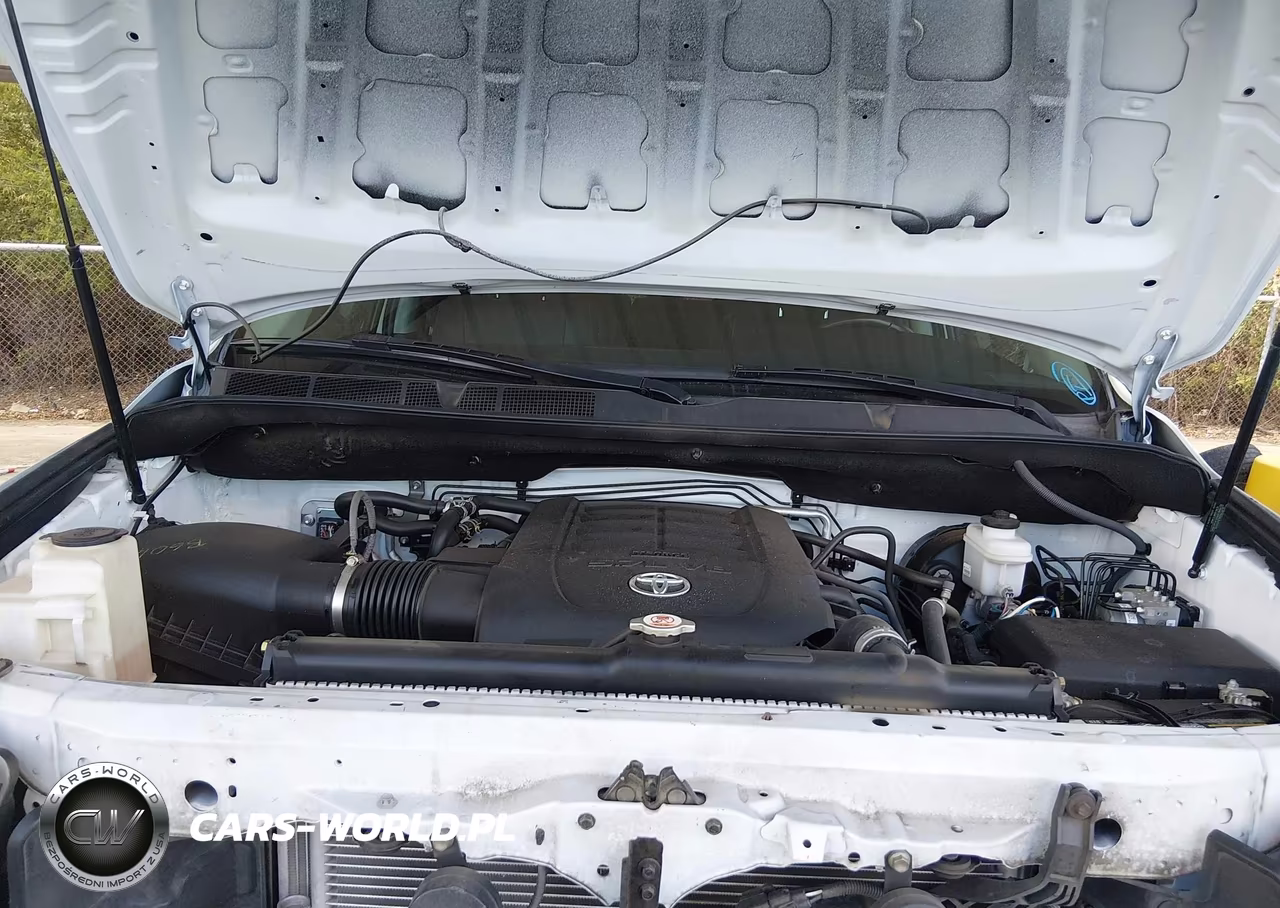 2019 Toyota Sequoia Trd Sport VIN:5TDZY5G12KS073172 - 10
