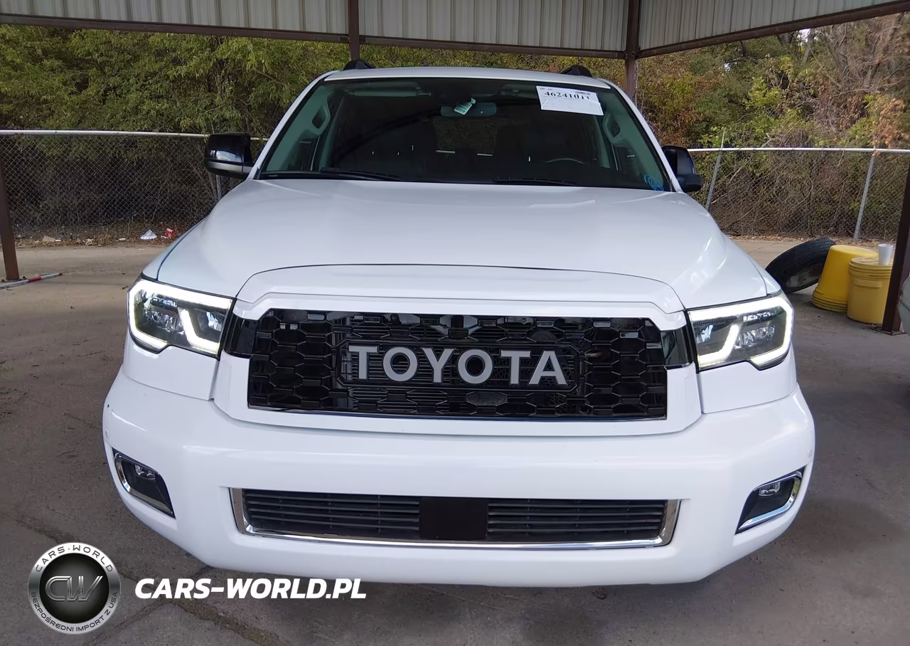 2019 Toyota Sequoia Trd Sport VIN:5TDZY5G12KS073172 - 12