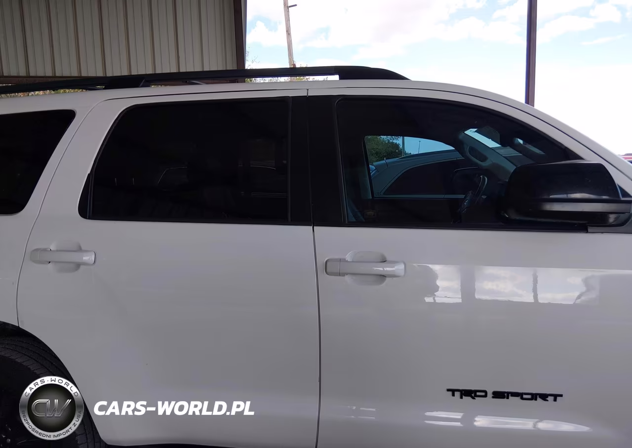 2019 Toyota Sequoia Trd Sport VIN:5TDZY5G12KS073172 - 13