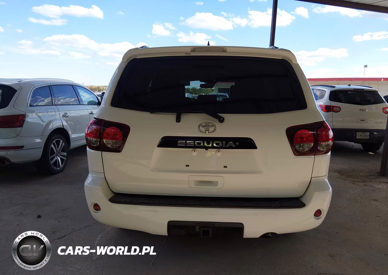 2019 Toyota Sequoia Trd Sport VIN:5TDZY5G12KS073172 - 16