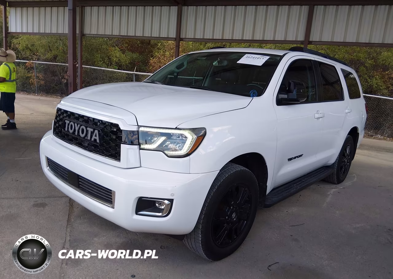 2019 Toyota Sequoia Trd Sport VIN:5TDZY5G12KS073172 - 2