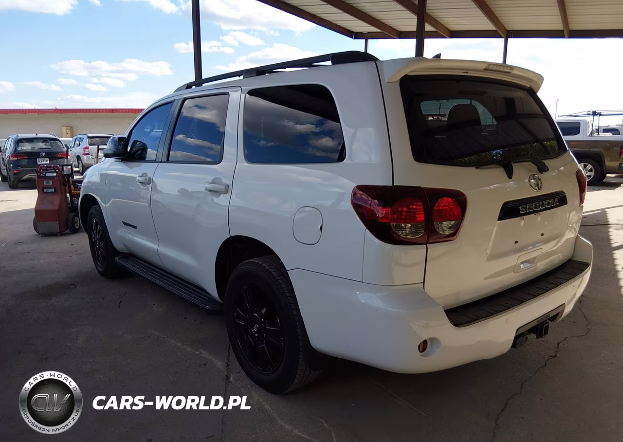 2019 Toyota Sequoia Trd Sport VIN:5TDZY5G12KS073172 - 3