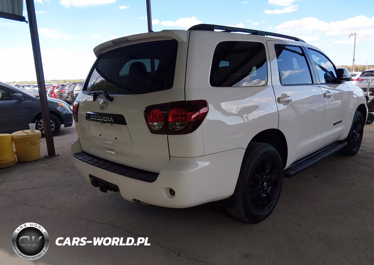 2019 Toyota Sequoia Trd Sport VIN:5TDZY5G12KS073172 - 4