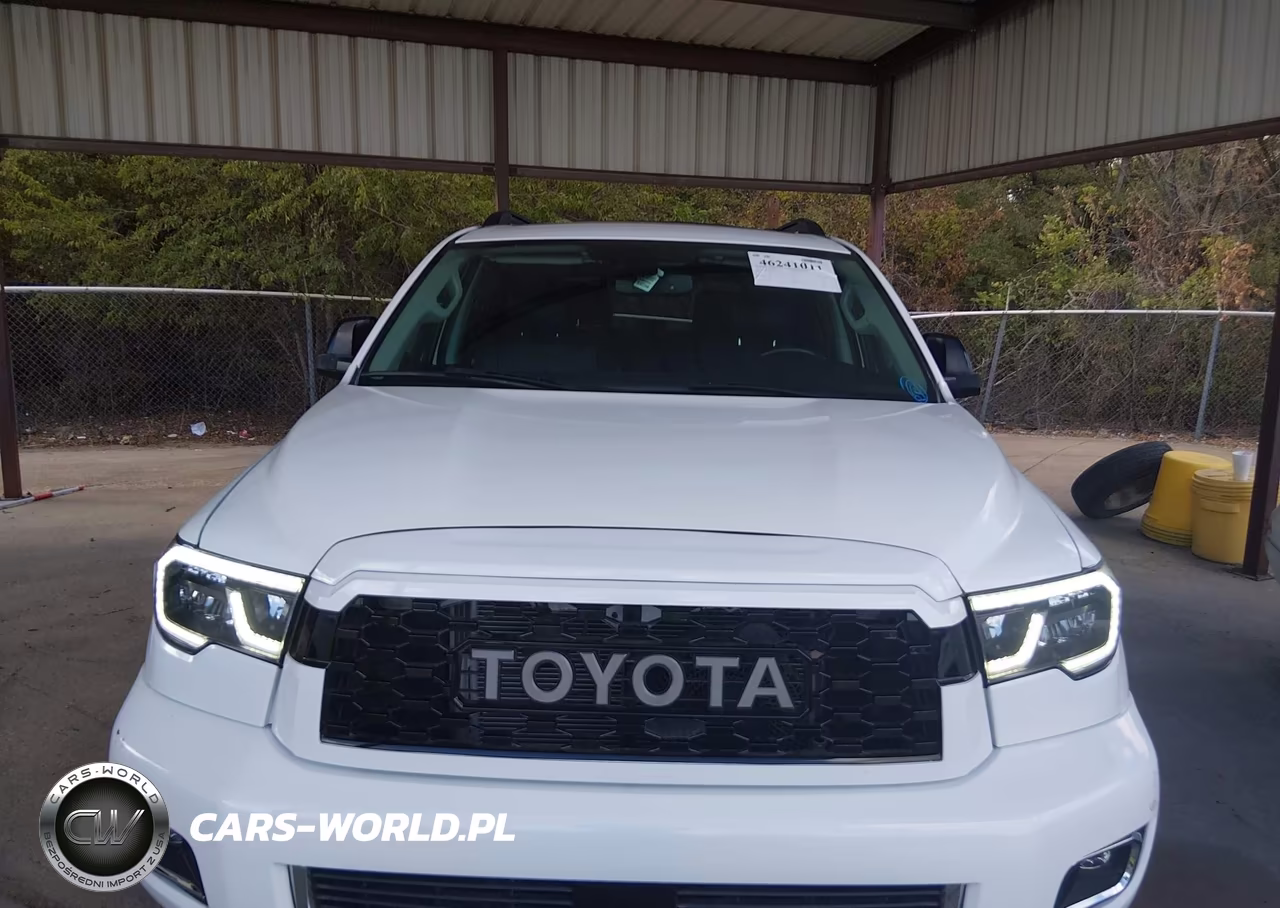 2019 Toyota Sequoia Trd Sport VIN:5TDZY5G12KS073172 - 6