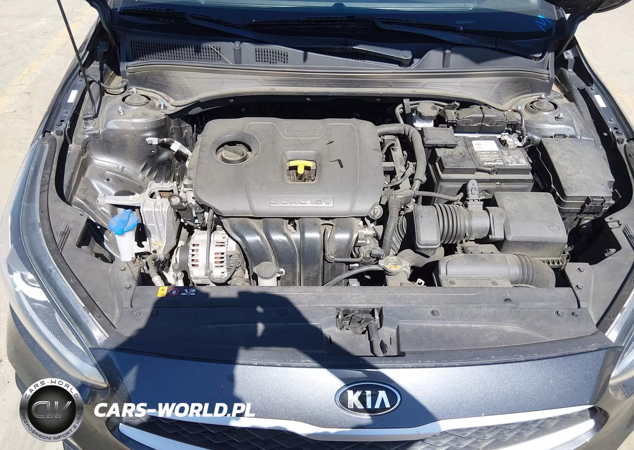 2021 Kia Fuerte Lxs VIN:3KPF24AD9ME310187 - 10