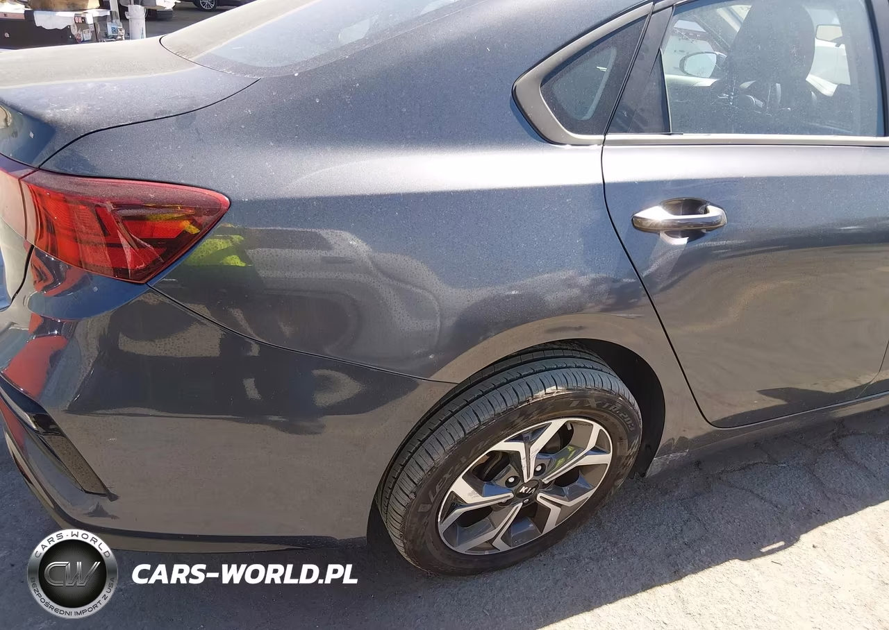 2021 Kia Fuerte Lxs VIN:3KPF24AD9ME310187 - 17