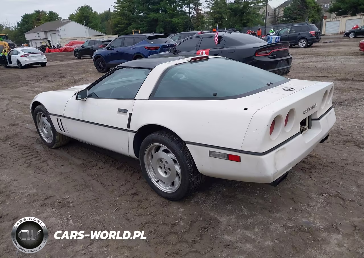 1988 Chevrolet Corvette VIN:1G1YY218XJ5121501 - 3