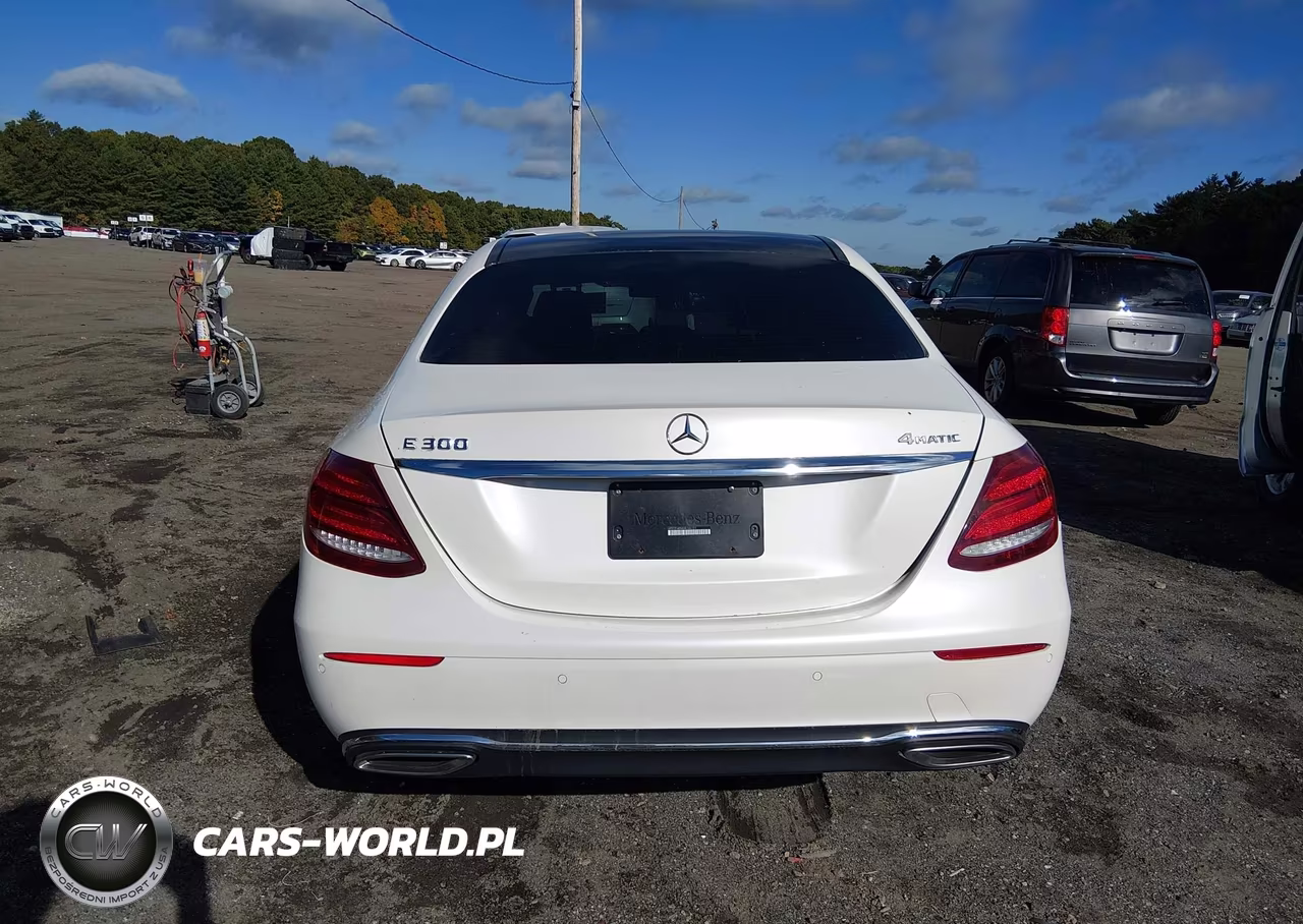 2017 Mercedes-Benz E 300 4Matic VIN:WDDZF4KB6HA146121 - 17