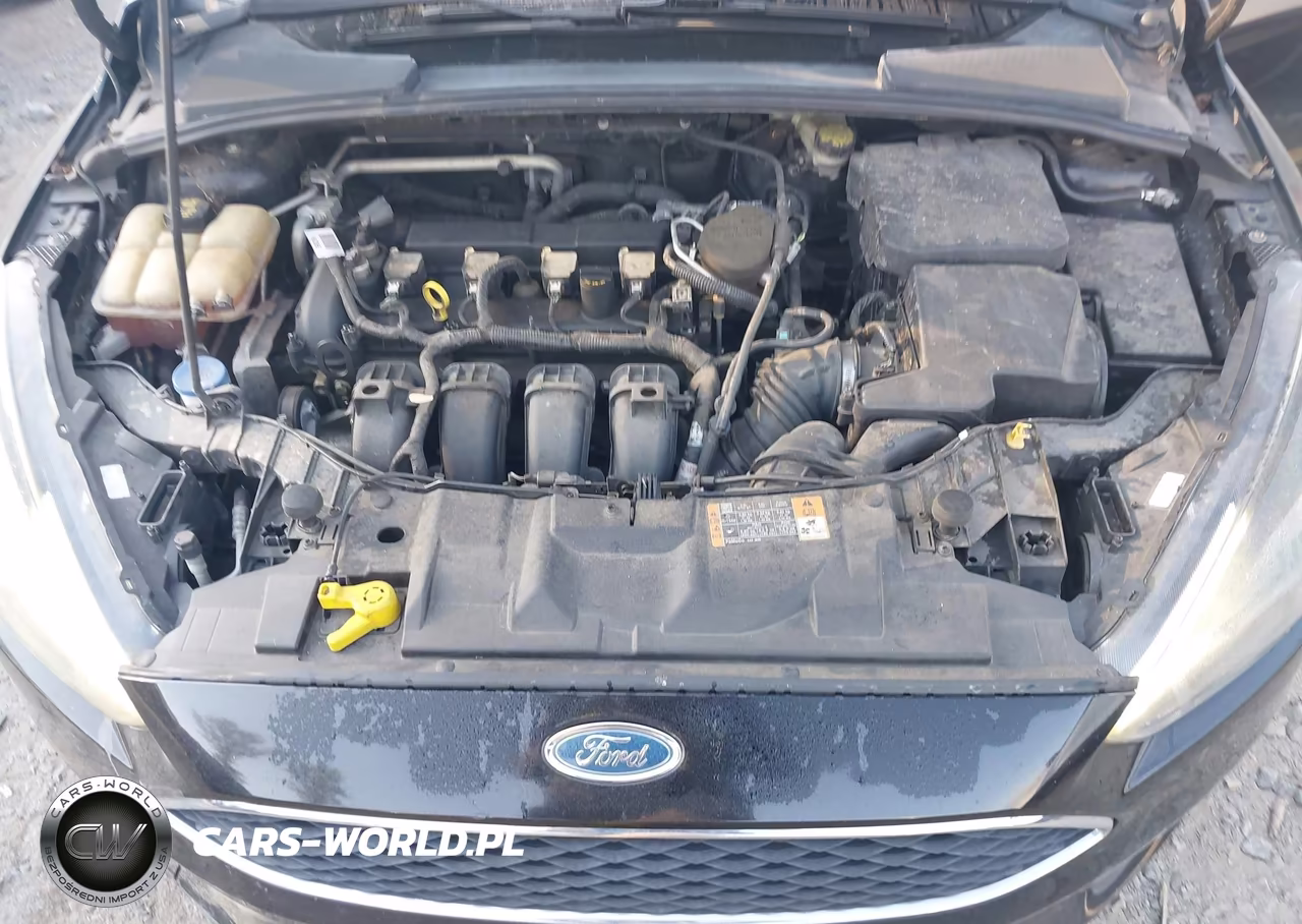 2016 Ford Focus Se VIN:1FADP3K20GL277646 - 10