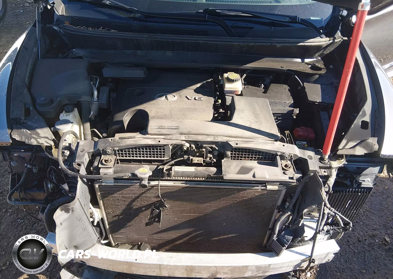 2016 Infiniti Qx60 VIN:5N1AL0MM7GC526204 - 10