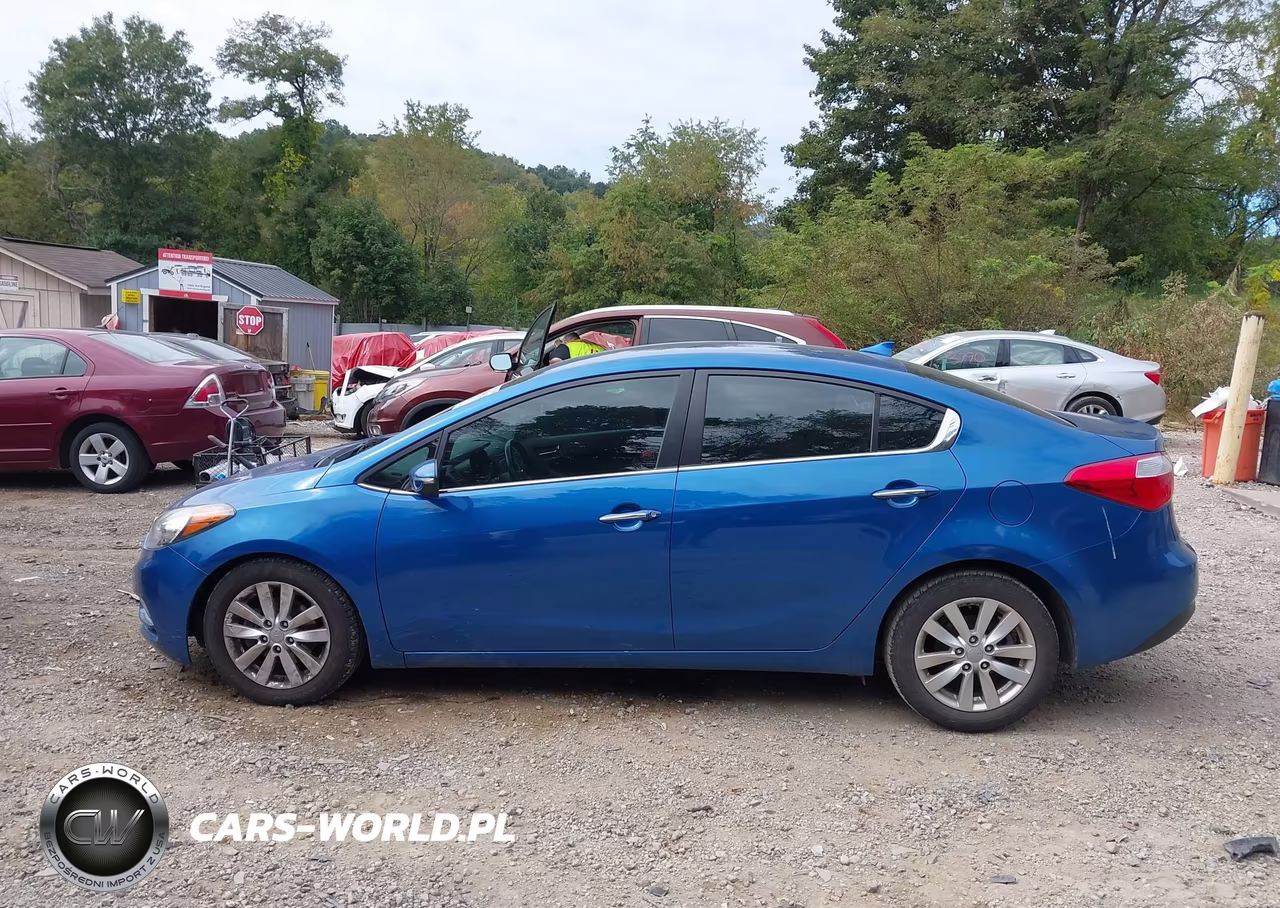 2015 Kia Forte Ex VIN:KNAFX4A89F5316121 - 14