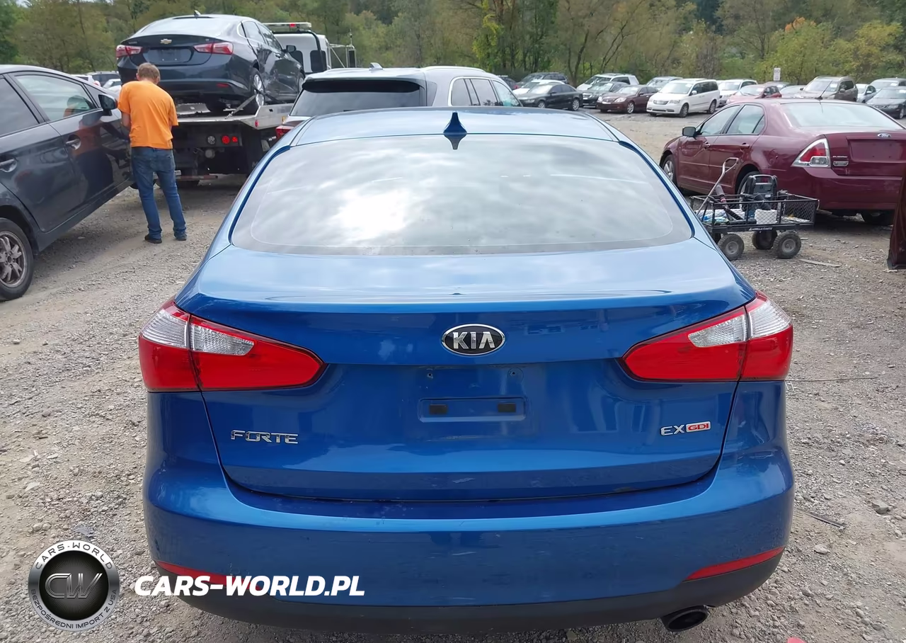 2015 Kia Forte Ex VIN:KNAFX4A89F5316121 - 16