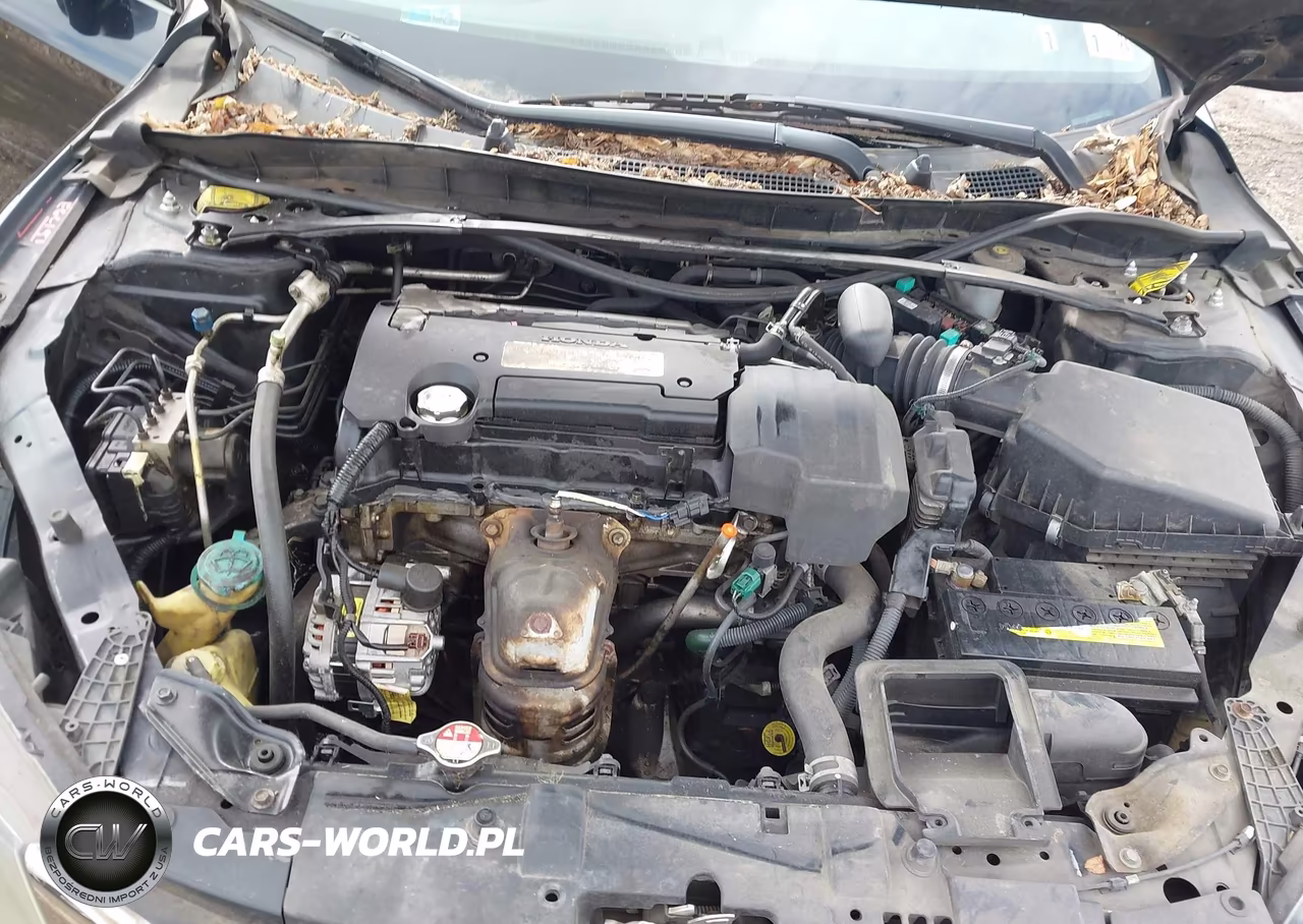 2013 Honda Accord Ex VIN:1HGCR2F78DA024860 - 10