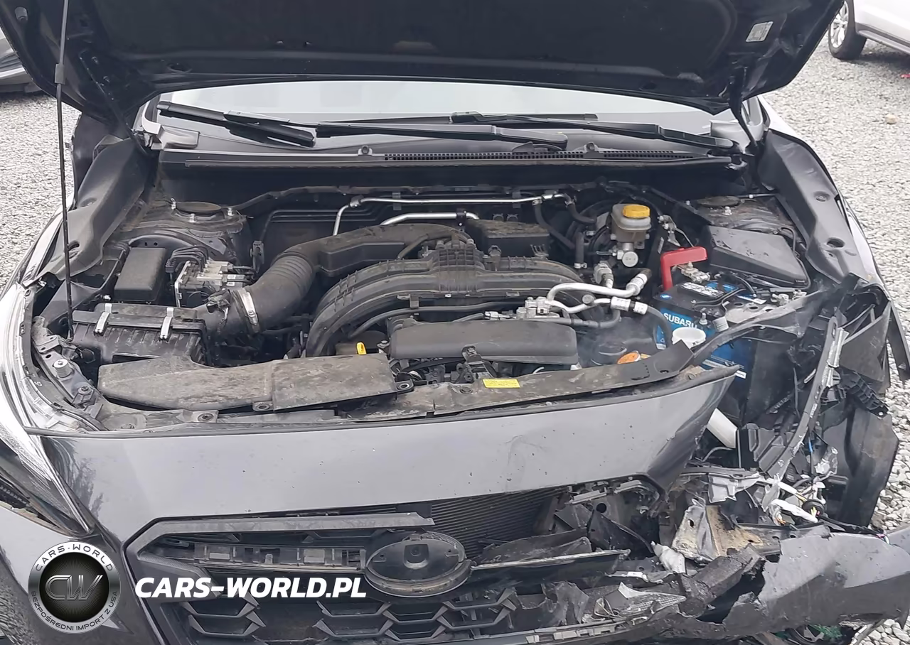 2019 Subaru Crosstrek 2.0I Limited VIN:JF2GTAMC6KH315228 - 10