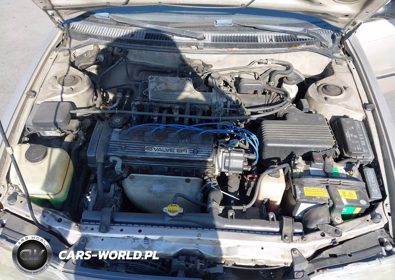 1994 Toyota Corolla Le-Dx VIN:1NXAE09B9RZ220135 - 10