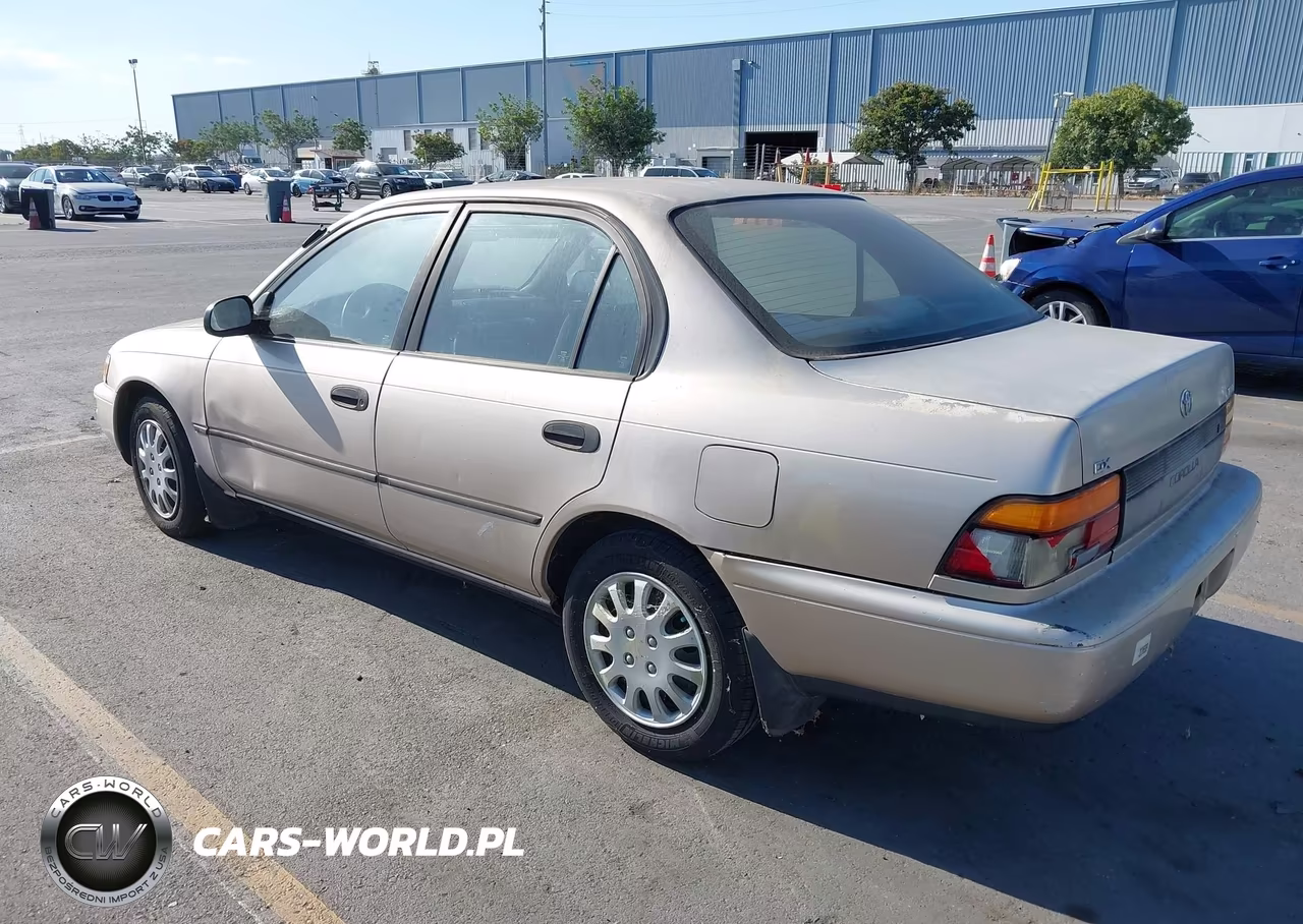 1994 Toyota Corolla Le-Dx VIN:1NXAE09B9RZ220135 - 3