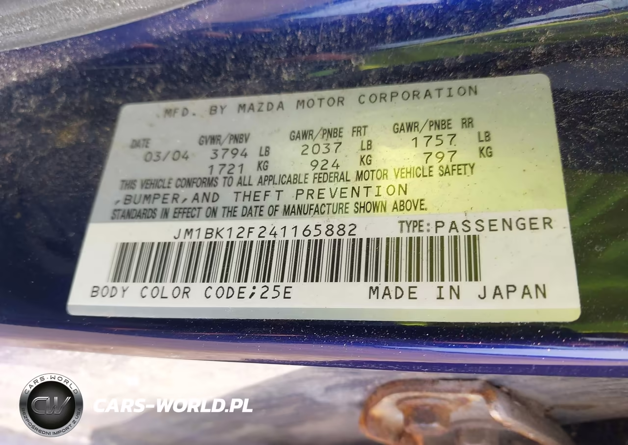 2004 Mazda Mazda3 I VIN:JM1BK12F241165882 - 9