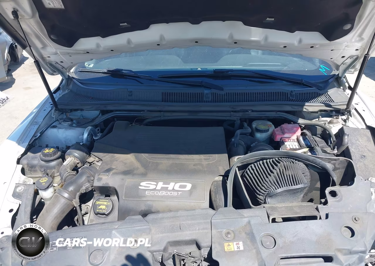 2013 Ford Taurus Sho VIN:1FAHP2KT6DG154233 - 10
