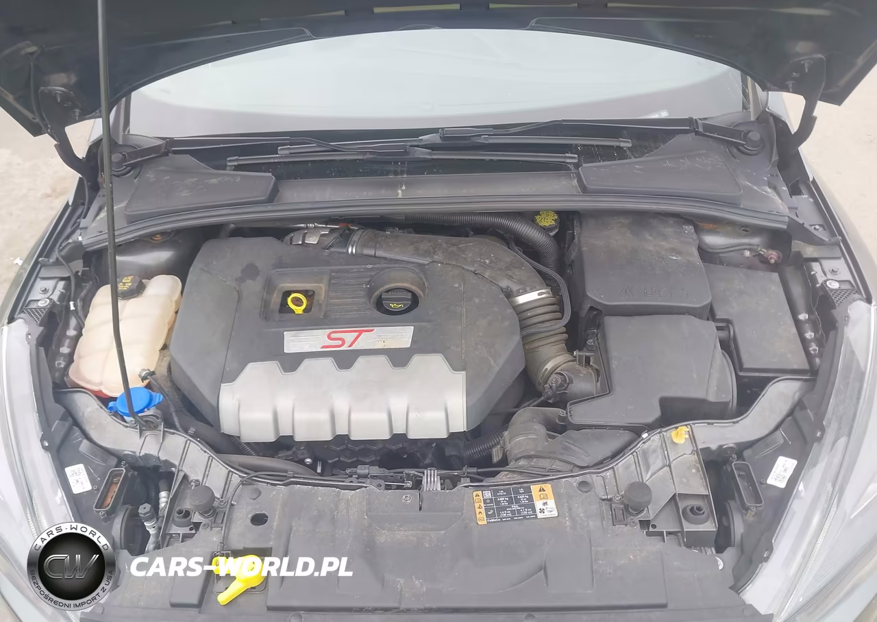 2018 Ford Focus St VIN:1FADP3L97JL239432 - 10