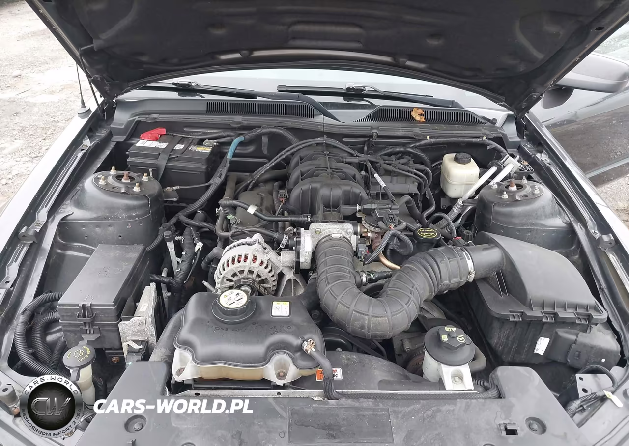 2007 Ford Mustang V6 Deluxe-V6 Premium VIN:1ZVFT80NX75359460 - 10