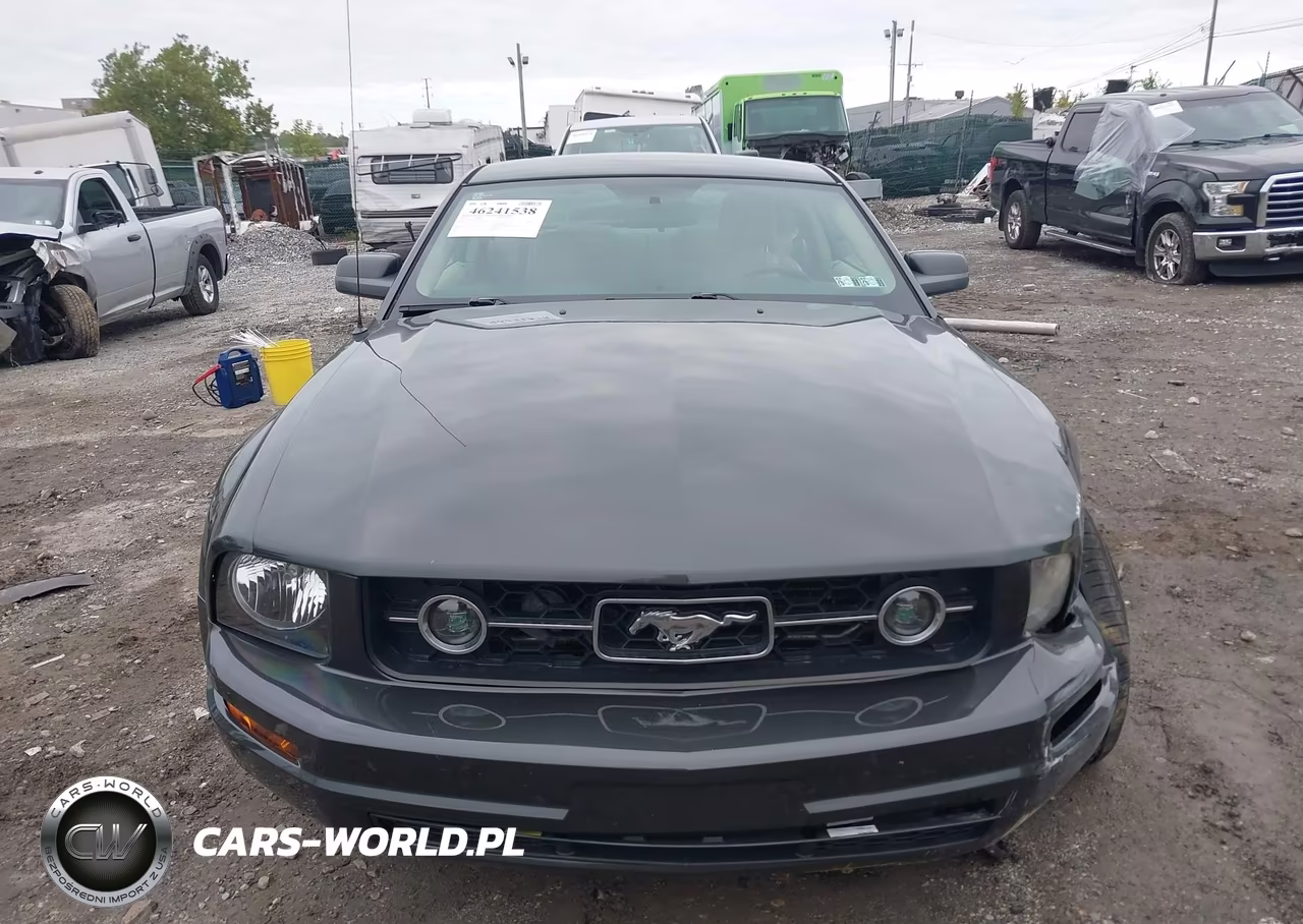 2007 Ford Mustang V6 Deluxe-V6 Premium VIN:1ZVFT80NX75359460 - 12