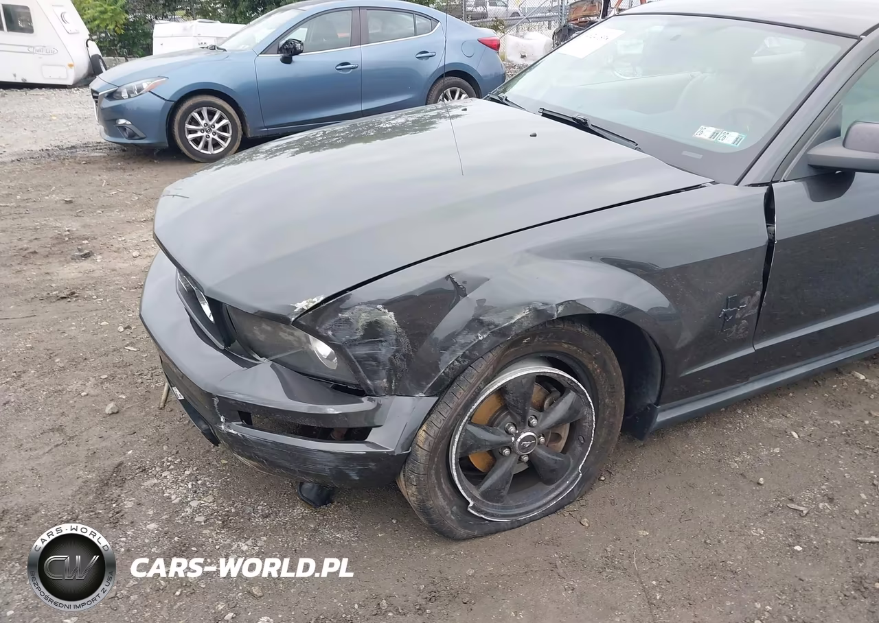 2007 Ford Mustang V6 Deluxe-V6 Premium VIN:1ZVFT80NX75359460 - 6