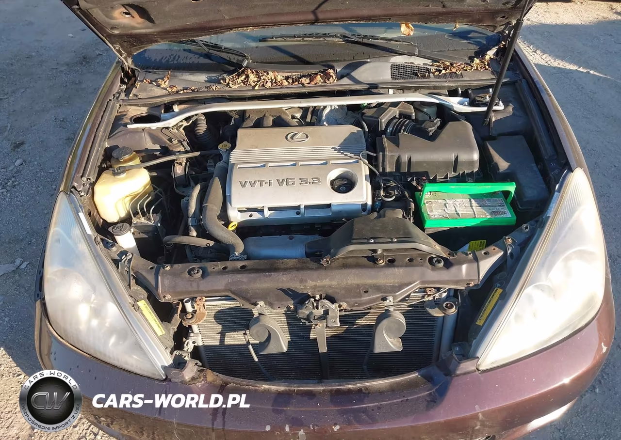 2004 Lexus Es 330 VIN:JTHBA30G840019193 - 10