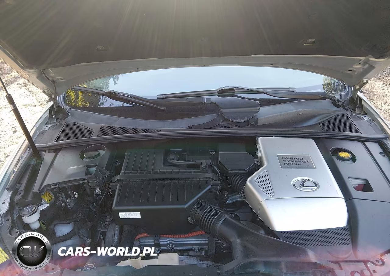 2006 Lexus Rx 400H VIN:JTJGW31U760004486 - 10