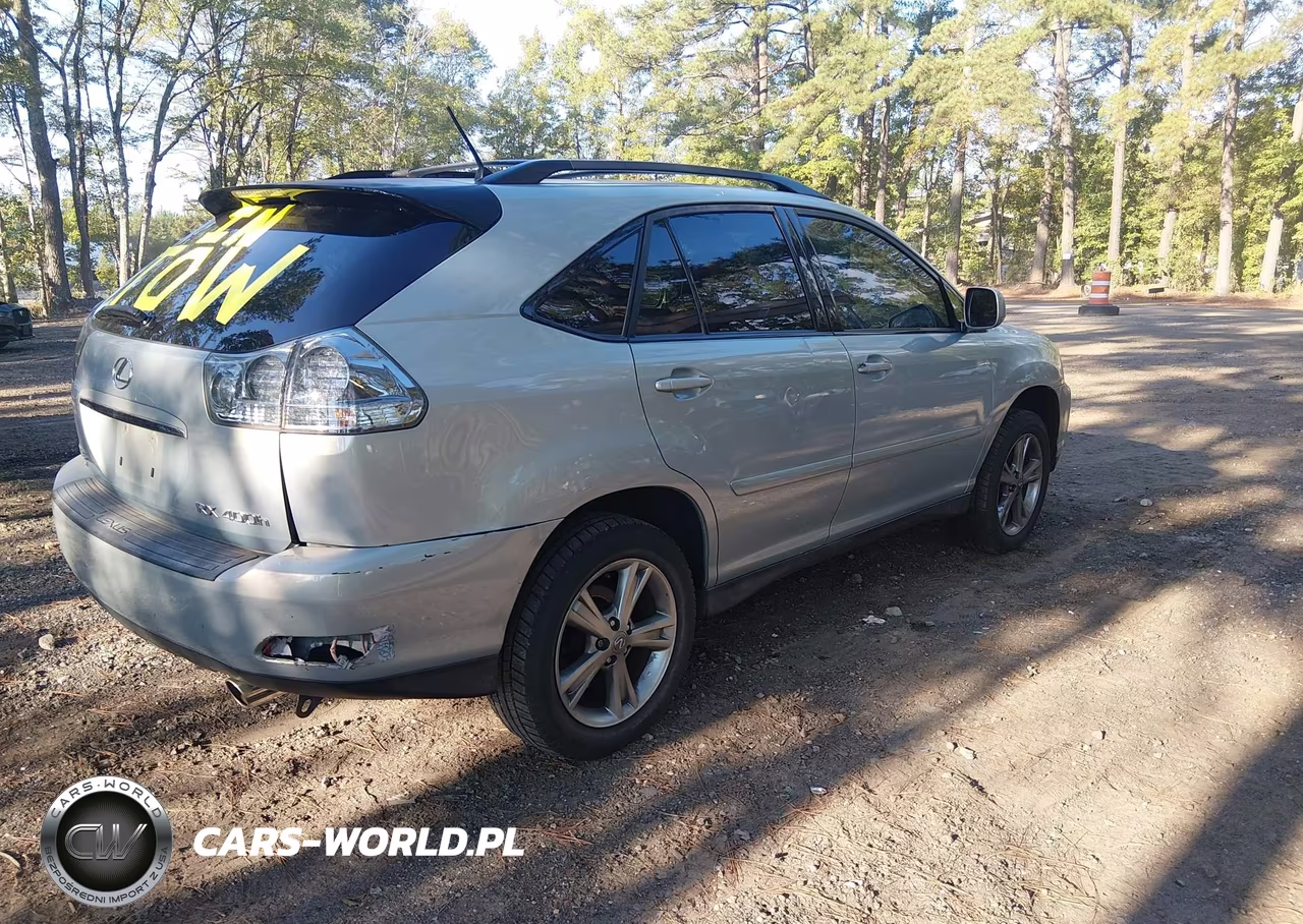 2006 Lexus Rx 400H VIN:JTJGW31U760004486 - 4