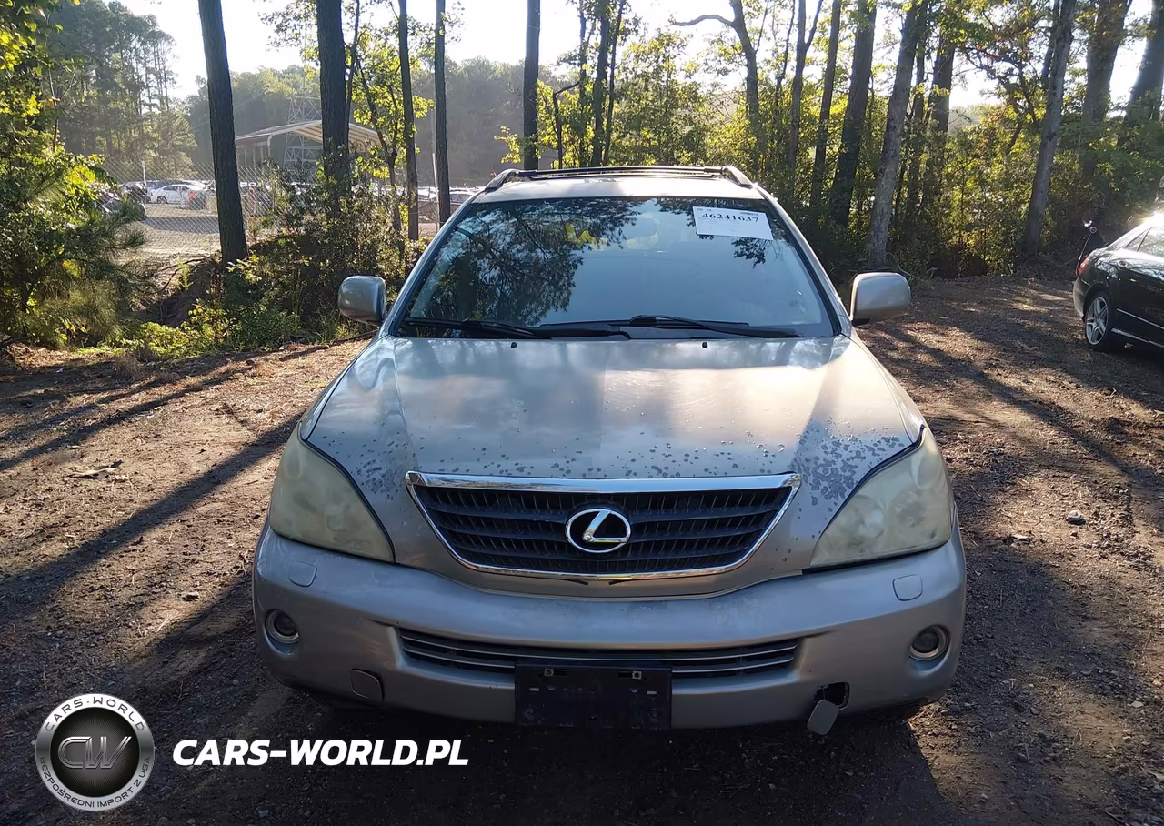 2006 Lexus Rx 400H VIN:JTJGW31U760004486 - 6