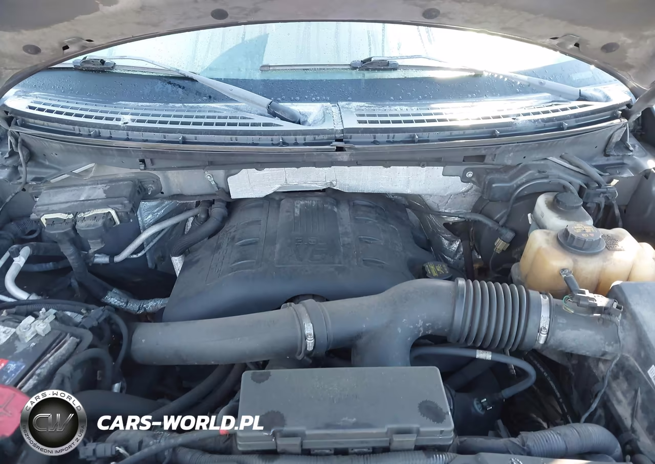 2013 Ford F-150 Fx4 VIN:1FTFW1ET4DKD48718 - 10