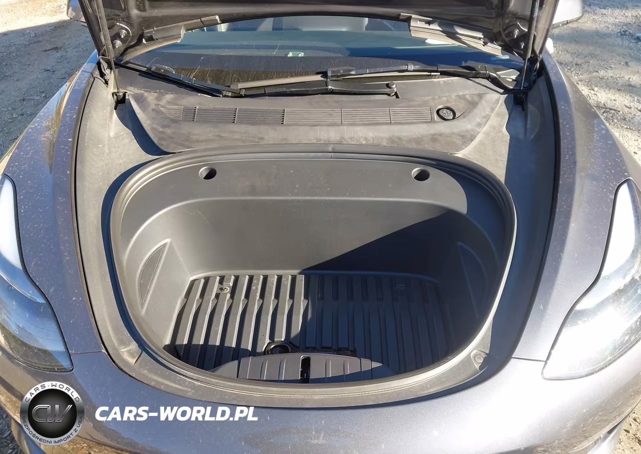 2023 Tesla Model 3 Long Range Dual Motor All-Wheel Drive VIN:5YJ3E1EB8PF688436 - 10