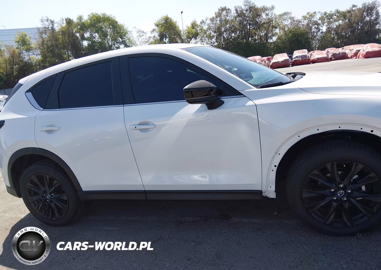 2025 Mazda Cx-5 2.5 S Carbon Edition VIN:JM3KFBCM1S0748221 - 13