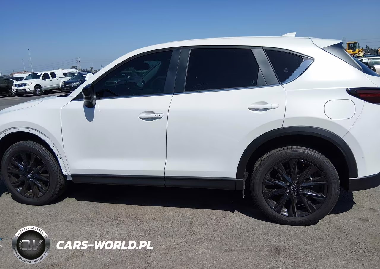 2025 Mazda Cx-5 2.5 S Carbon Edition VIN:JM3KFBCM1S0748221 - 14