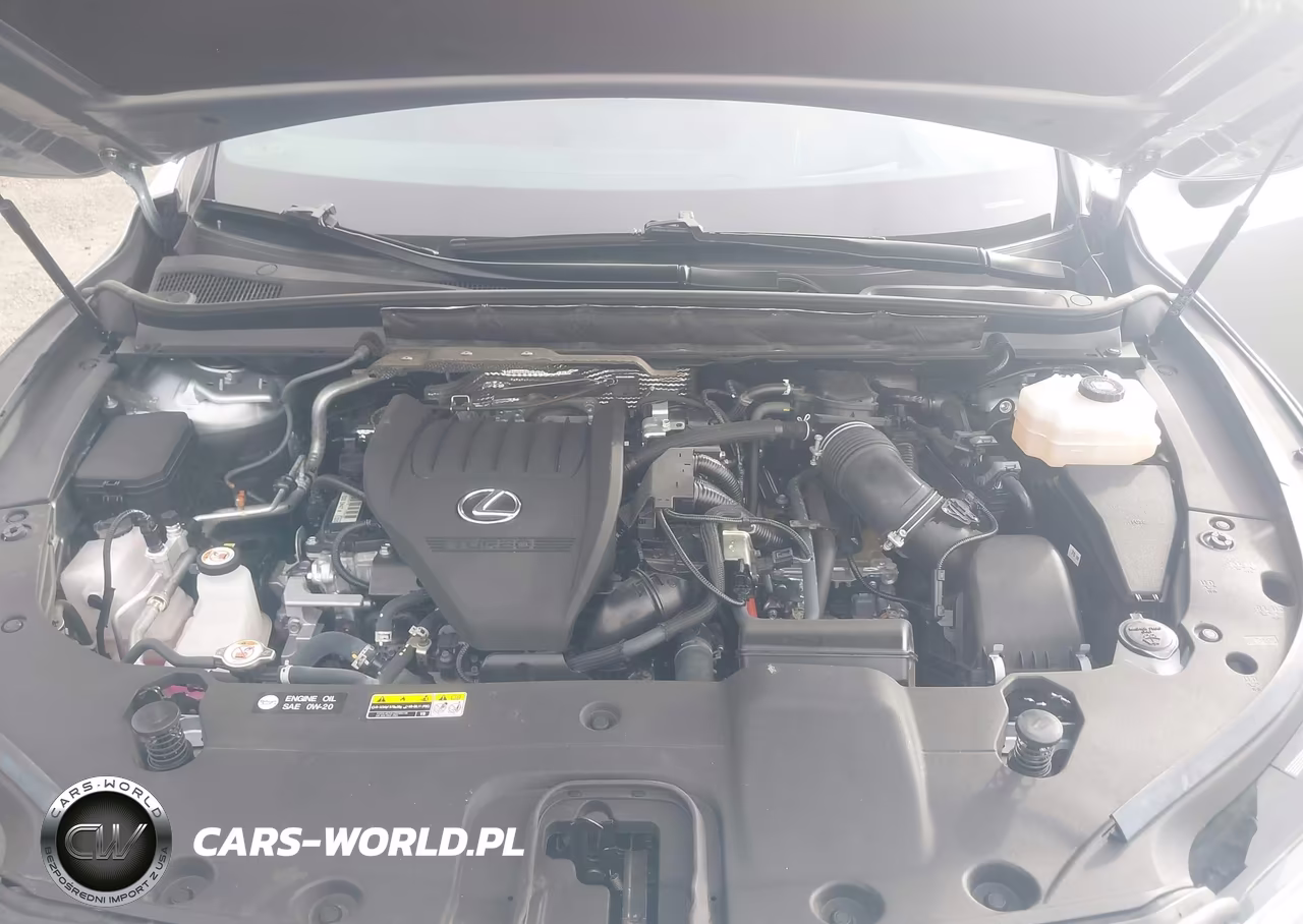 2023 Lexus Rx 500H F Sport Performance VIN:2T2BCMEA0PC007194 - 10