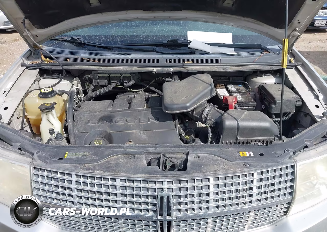 2009 Lincoln Mkx VIN:2LMDU68C49BJ02906 - 10