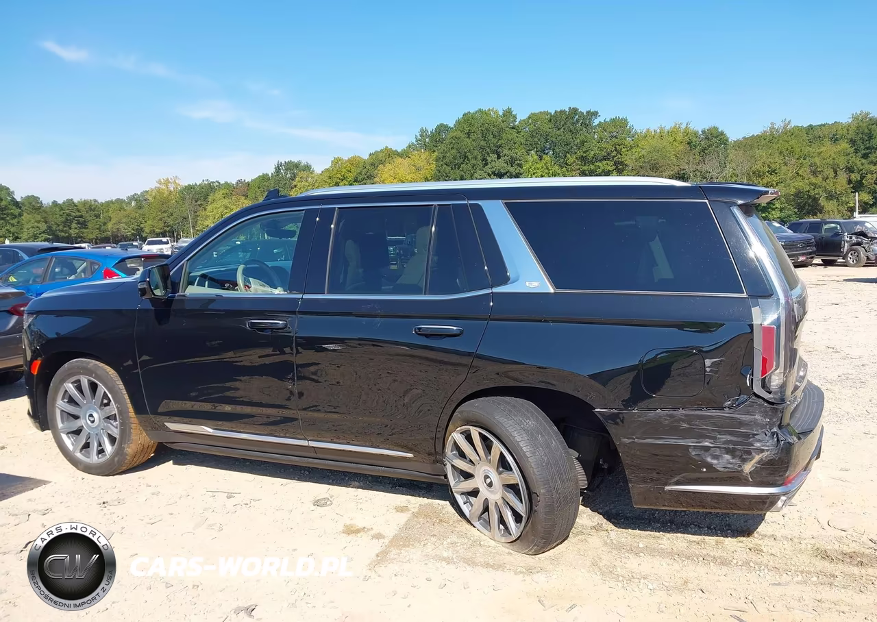 2024 Cadillac Escalade 4Wd Premium Luxury Platinum VIN:1GYS4DKL0RR419481 - 14
