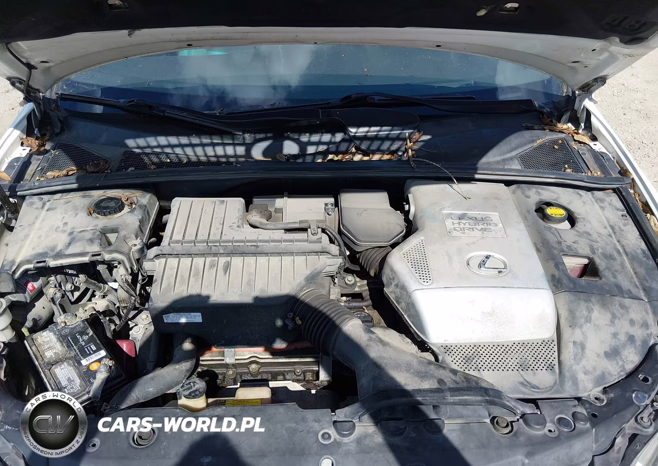 2007 Lexus Rx 400H VIN:JTJGW31U372002269 - 10
