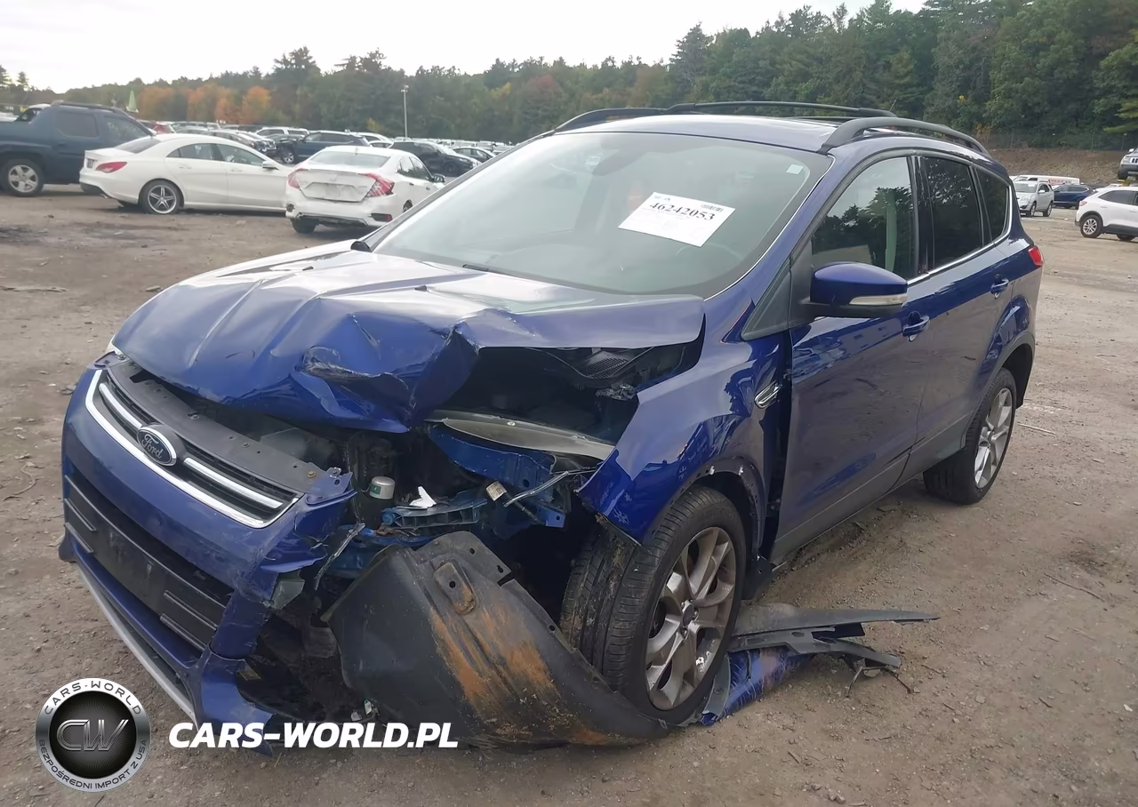 2013 Ford Escape Sel VIN:1FMCU9H95DUB19813 - 2