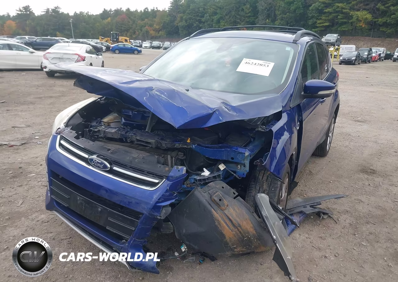 2013 Ford Escape Sel VIN:1FMCU9H95DUB19813 - 6