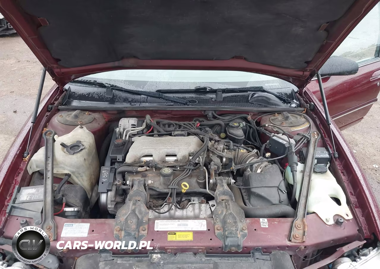 1998 Chevrolet Lumina VIN:2G1WL52M0W1101799 - 10