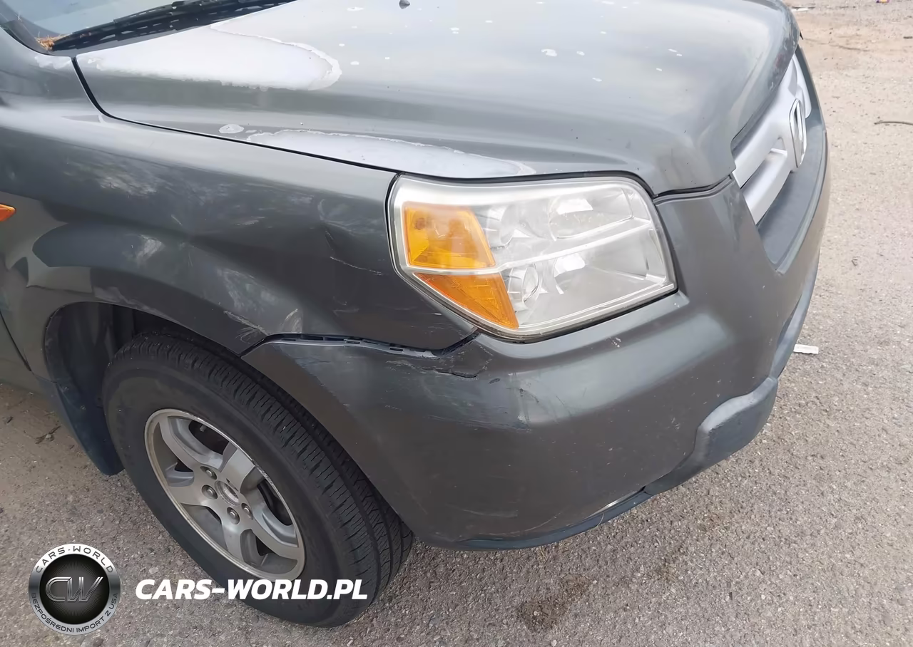2007 Honda Pilot Ex VIN:5FNYF18407B020811 - 6