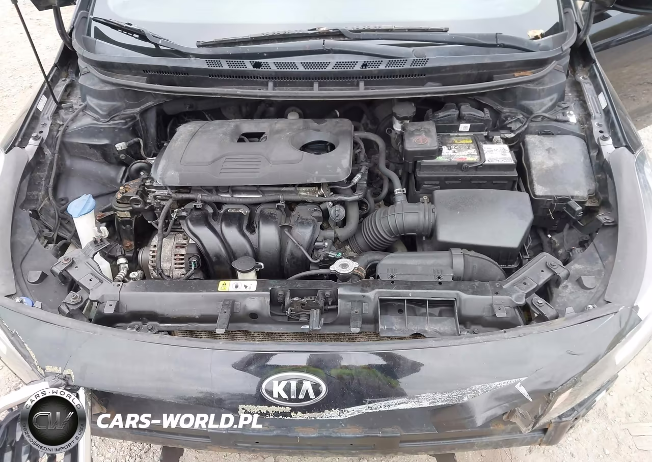 2017 Kia Forte Lx VIN:3KPFL4A73HE066954 - 10
