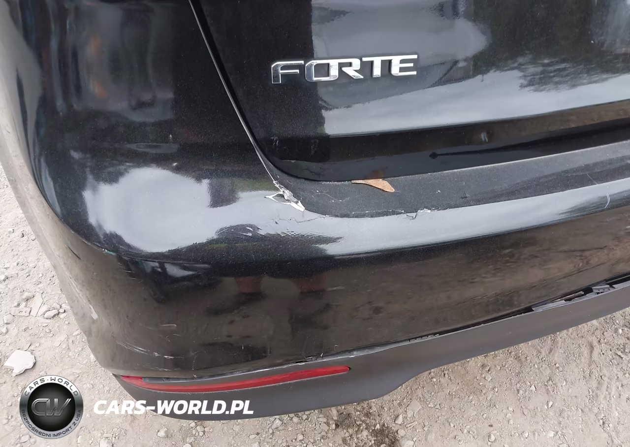 2017 Kia Forte Lx VIN:3KPFL4A73HE066954 - 17