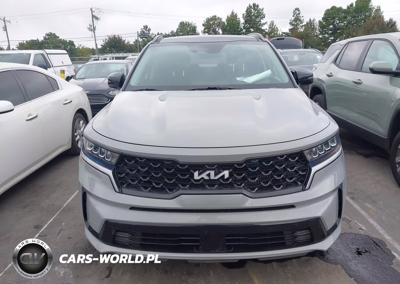 2022 Kia Sorento Ex VIN:5XYRH4LF4NG146376 - 12