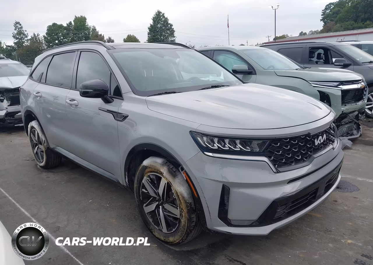 2022 Kia Sorento Ex VIN:5XYRH4LF4NG146376 - 13